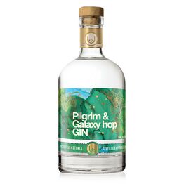 Pocketful of Stones Galaxy & Pilgrim Hop Gin 40% ABV (70cl)