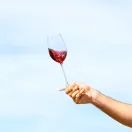 Divin Pinot Noir 0.0% Red Wine additional 3