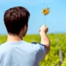 Divin Sauvignon Blanc 0.0% White Wine additional 5