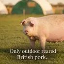 Snackingham 'Classic' Ham (35g) additional 5